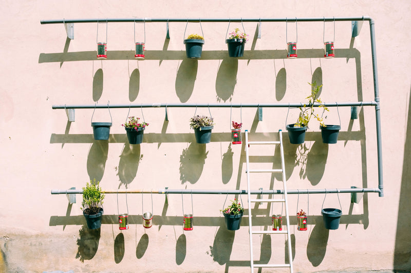 Flowers & planters