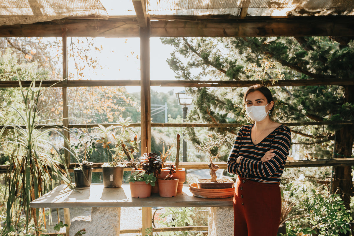 Green plants in a bright home